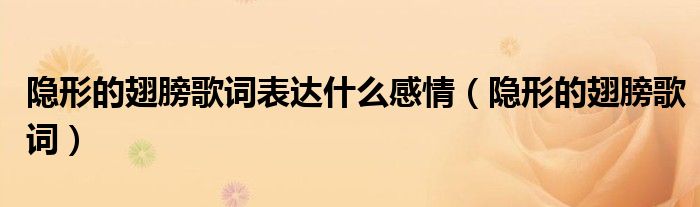 隱形的翅膀歌詞表達(dá)什么感情（隱形的翅膀歌詞）