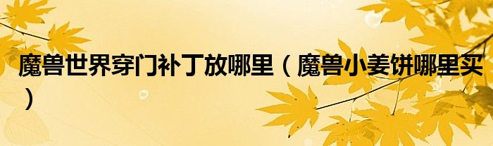 魔獸世界穿門補(bǔ)丁放哪里（魔獸小姜餅?zāi)睦镔I）