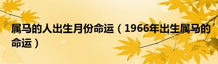 屬馬的人出生月份命運（1966年出生屬馬的命運）