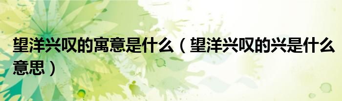 望洋興嘆的寓意是什么（望洋興嘆的興是什么意思）