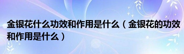 金銀花什么功效和作用是什么（金銀花的功效和作用是什么）
