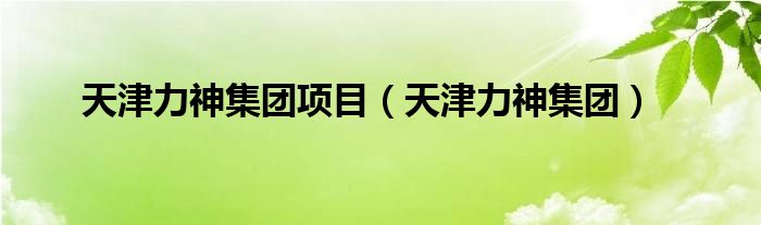 天津力神集團(tuán)項(xiàng)目（天津力神集團(tuán)）