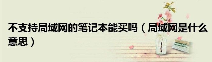 不支持局域網(wǎng)的筆記本能買嗎（局域網(wǎng)是什么意思）