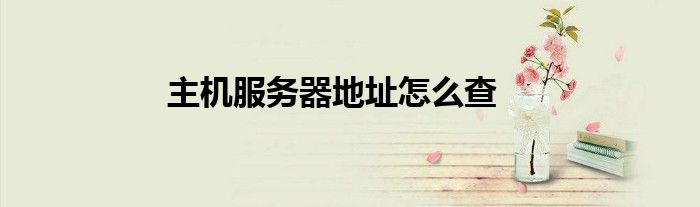 主機服務(wù)器地址怎么查