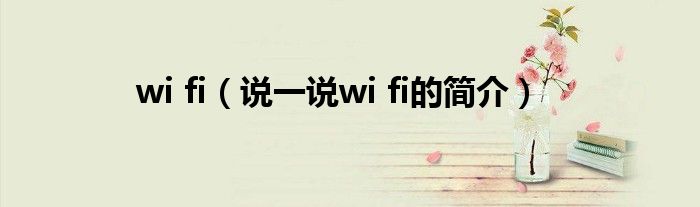 wi fi（說一說wi fi的簡介）