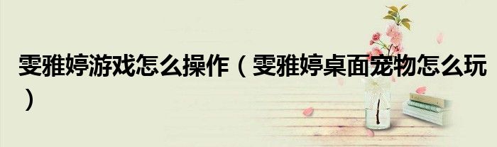 雯雅婷游戲怎么操作（雯雅婷桌面寵物怎么玩）
