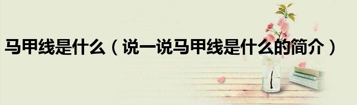 馬甲線是什么（說一說馬甲線是什么的簡介）