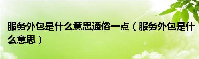 服務外包是什么意思通俗一點（服務外包是什么意思）
