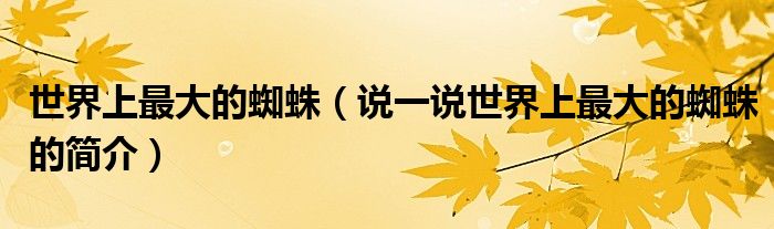 世界上最大的蜘蛛（說一說世界上最大的蜘蛛的簡介）