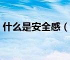 什么是安全感（說一說什么是安全感的簡介）