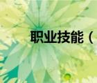 職業(yè)技能（說一說職業(yè)技能的簡介）