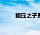 鮑氏之子原文及翻譯（鮑氏之子）