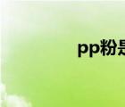 pp粉是什么東西（pp粉）