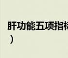 肝功能五項指標(biāo)意義（肝功能五項指標(biāo)對照表）
