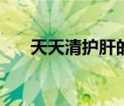 天天清護肝的功效和副作用（天天清）