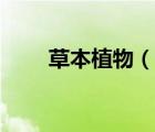 草本植物（說一說草本植物的簡介）