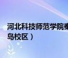 河北科技師范學(xué)院秦皇島校區(qū)圖片（河北科技師范學(xué)院秦皇島校區(qū)）