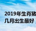 2019年生肖豬幾月份出生最好（2019屬豬的幾月出生最好）