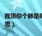 我頂你個(gè)肺是哪里的方言（我頂你個(gè)肺什么意思）