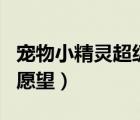 寵物小精靈超級愿望日語（寵物小精靈之每日愿望）