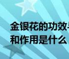 金銀花的功效與作用是什么?（金銀花的功效和作用是什么）