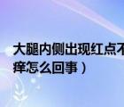 大腿內(nèi)側(cè)出現(xiàn)紅點(diǎn)不痛不癢怎么回事（大腿內(nèi)側(cè)紅點(diǎn)不痛不癢怎么回事）