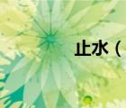 止水（說一說止水的簡介）