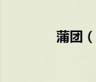 蒲團(tuán)（說(shuō)一說(shuō)蒲團(tuán)的簡(jiǎn)介）
