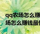 qq農(nóng)場怎么賺錢最快場最賺錢的植物（qq農(nóng)場怎么賺錢最快）