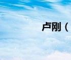 盧剛（說一說盧剛的簡介）