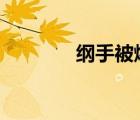 綱手被爆?漫畫（綱手的胸）