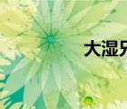 大濕兄影院在線（大濕）