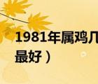 1981年屬雞幾月出生最好（屬豬的幾月出生最好）