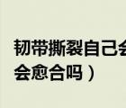 韌帶撕裂自己會愈合嗎會疼嗎（韌帶撕裂自己會愈合嗎）