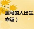 屬馬的人出生月份命運（1966年出生屬馬的命運）