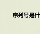 序列號是什么英文（序列號是什么）