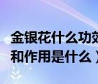 金銀花什么功效和作用是什么（金銀花的功效和作用是什么）