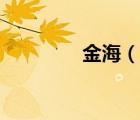金海（說一說金海的簡介）