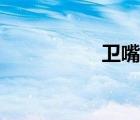衛(wèi)嘴子團購（衛(wèi)嘴子）