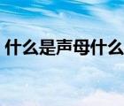 什么是聲母什么是韻母（聲母表是什么意思）
