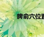 脾俞穴位置最簡單的找法（脾腧）