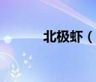 北極蝦（說一說北極蝦的簡介）