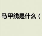 馬甲線是什么（說(shuō)一說(shuō)馬甲線是什么的簡(jiǎn)介）