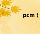 pcm（說一說pcm的簡介）