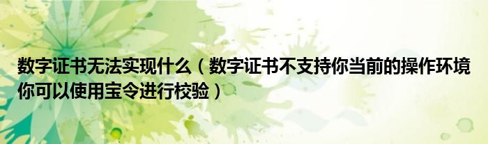 數(shù)字證書無法實現(xiàn)什么（數(shù)字證書不支持你當前的操作環(huán)境你可以使用寶令進行校驗）