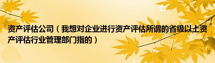 資產(chǎn)評估公司（我想對企業(yè)進行資產(chǎn)評估所謂的省級以上資產(chǎn)評估行業(yè)管理部門指的）