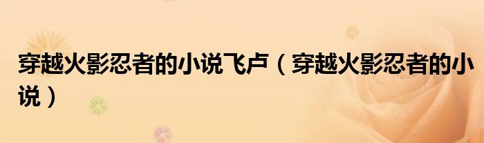 穿越火影忍者的小說飛盧（穿越火影忍者的小說）