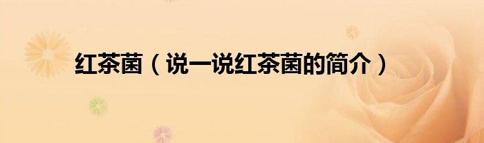 紅茶菌（說一說紅茶菌的簡(jiǎn)介）
