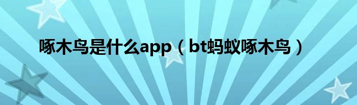 啄木鳥是什么app（bt螞蟻?zhàn)哪绝B）