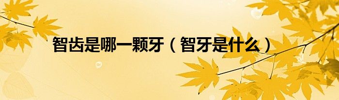 智齒是哪一顆牙（智牙是什么）